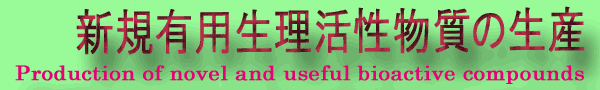 VKLp̐Y